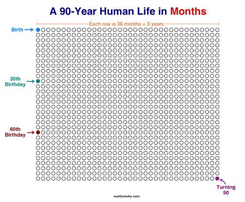a 90 year human life in months