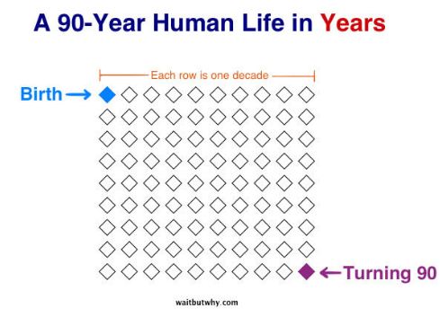 a 90 year human life in years